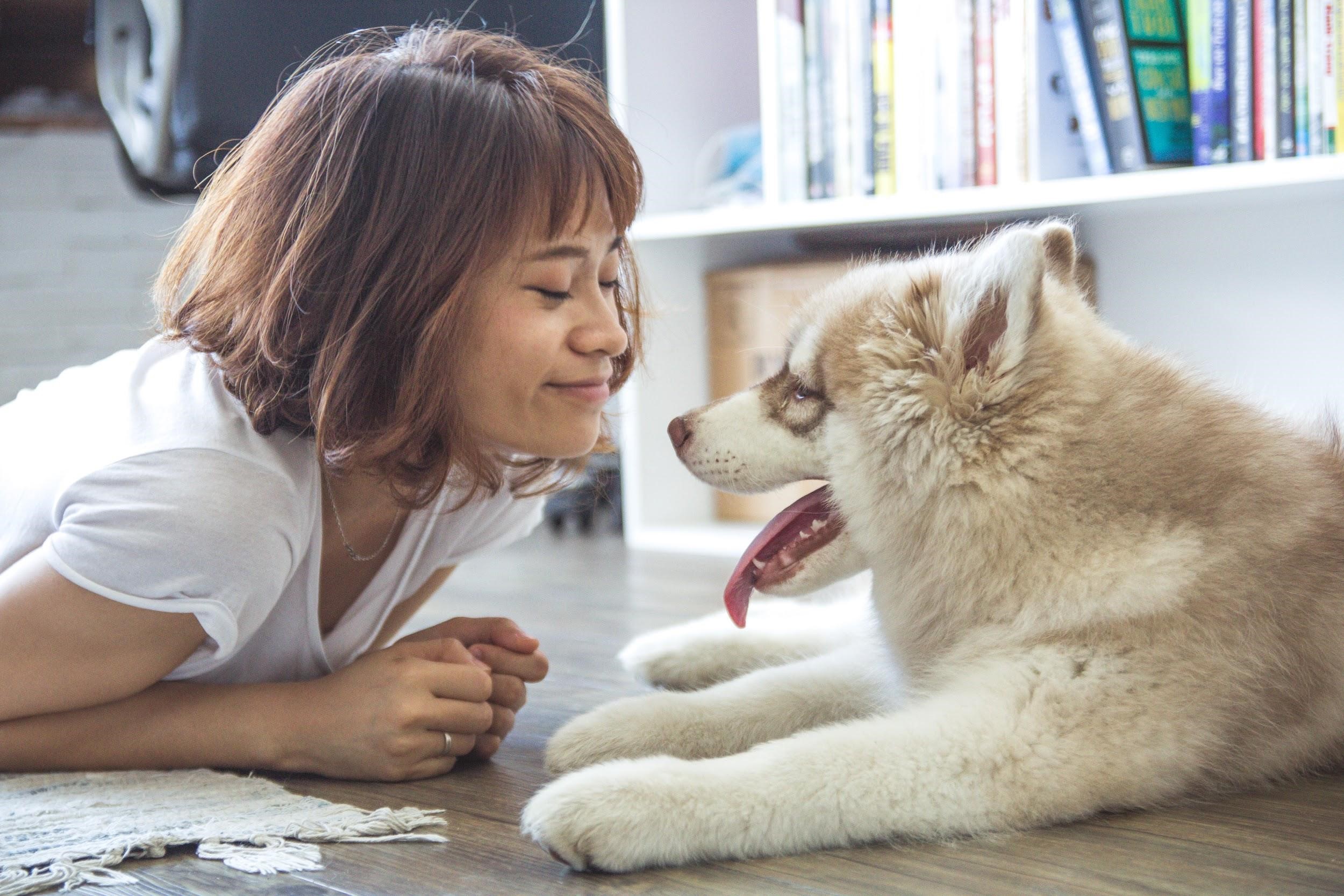 Tips For The First Time Pet Owners