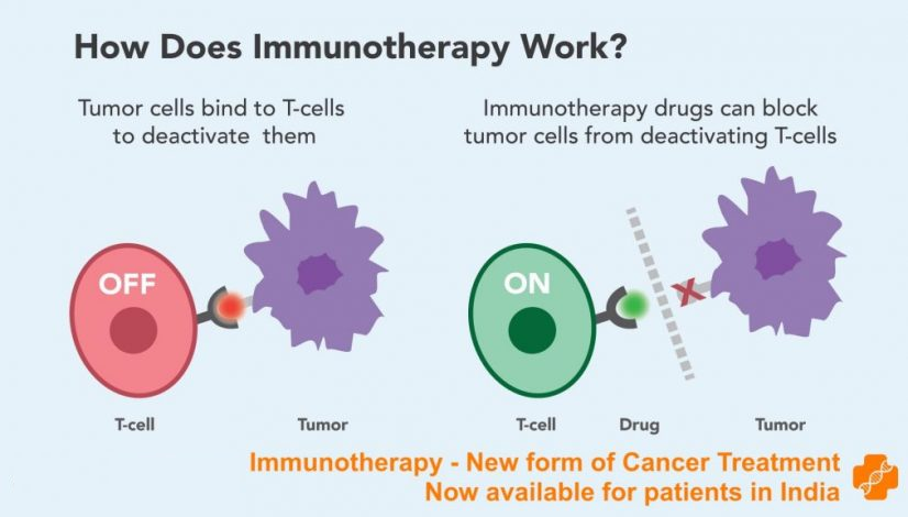 Immunotherapy To Treat Cancer.
