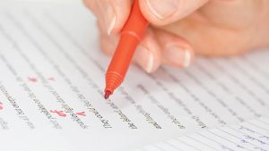 Essay Writing