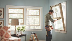 Windows Replacement